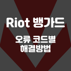 뱅가드 오류