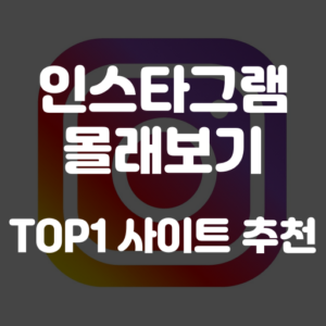 인스타그램 염탐 사이트