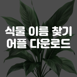 식물 이름 찾기 어플