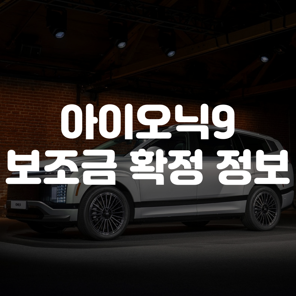 아이오닉9 보조금 확정