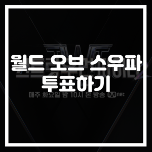 월드 오브 스트릿 우먼 파이터 투표하기