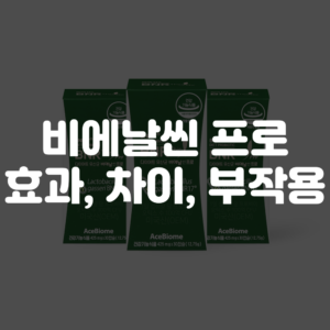 비엔날씬 프로 효능 차이 부작용