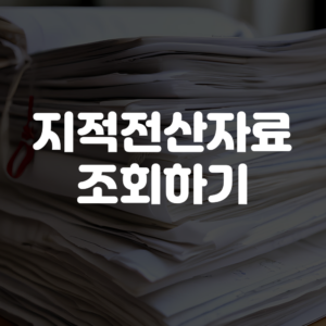 지적전산자료조회결과 발급