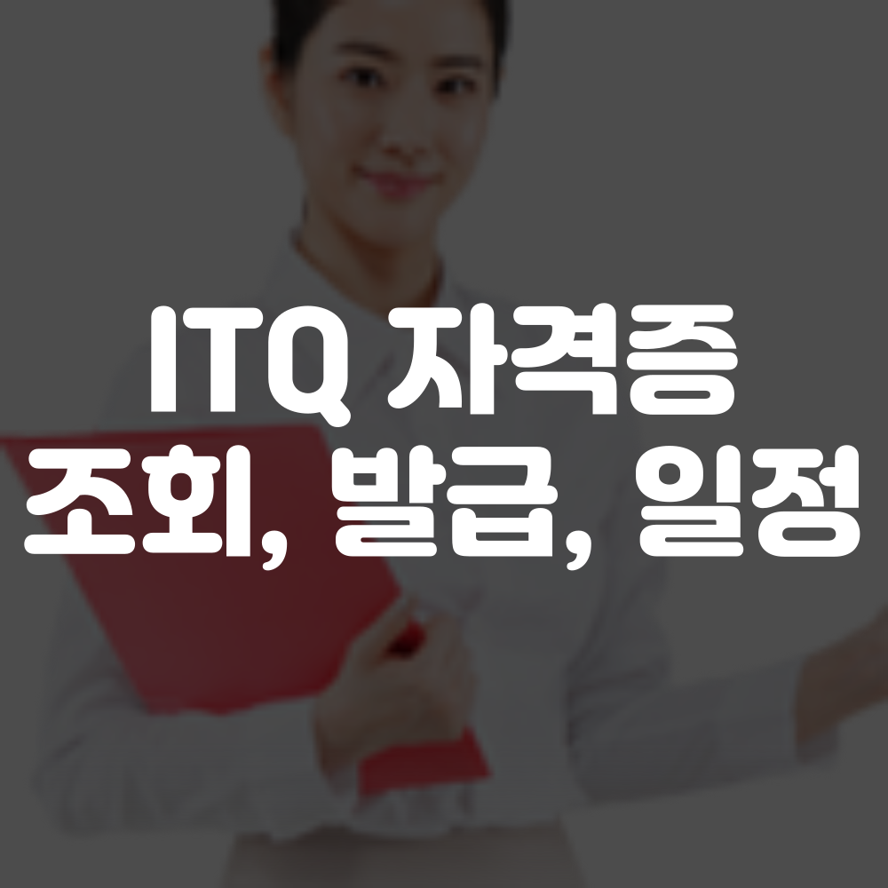 ITQ 자격증 조회하기