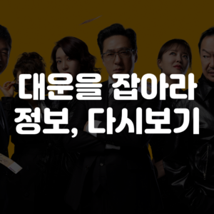 대운을 잡아라 등장인물, 보러가기, 재방송