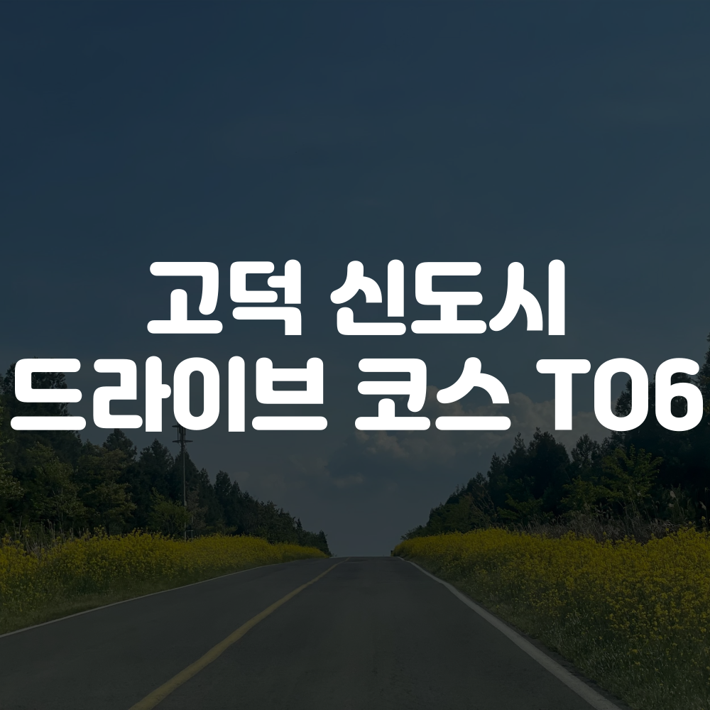 고덕 신도시 드라이브 코스 이미지