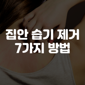 집안 습기 제거 방법 7가지