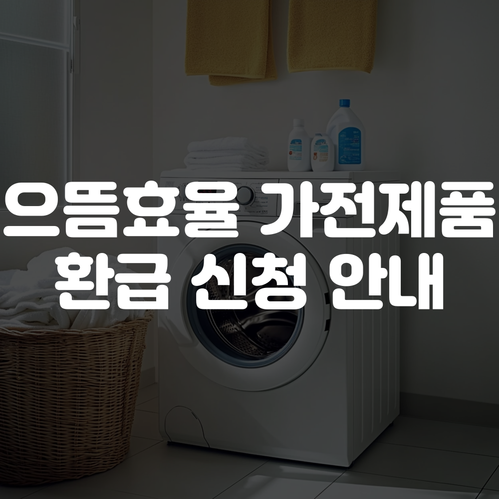 2025년 으뜸효율 가전제품 환급 신청 방법 이미지