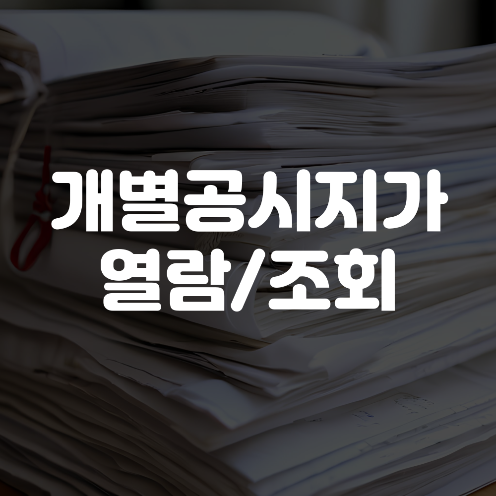 개별공시지가 조회방법 및 열람방법 이미지