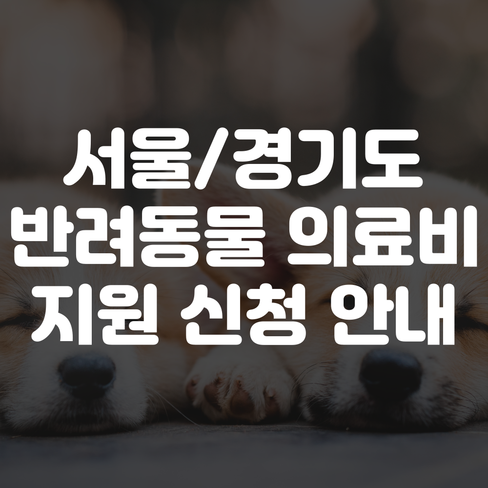 반려동물 의료비 지원 신청 안내