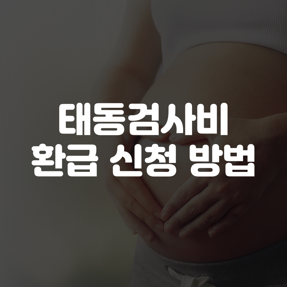 태동검사비 환급 신청 방법