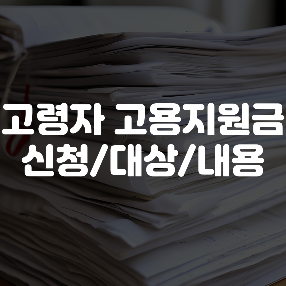 고령자 고용지원금 신청 방법 대상 내용 안내