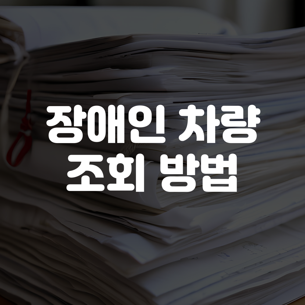 장애인 차량 조회방법 안내 1 제목을 입력해주세요 001 2025 09 18T022129.741