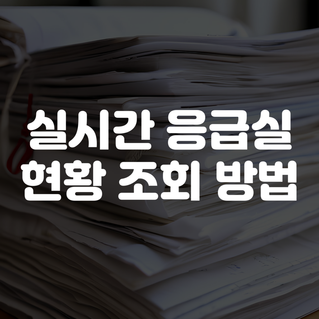 실시간 응급실 현황 조회 방법