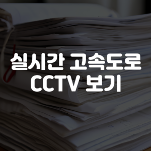 실시간 고속도로 CCTV 보는법, 보기