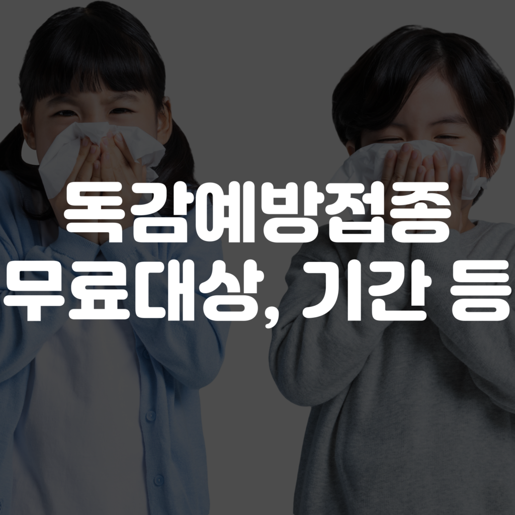 무료 독감예방접종 무료대상연령 및 기간 대상자 총정리