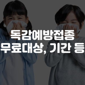 무료 독감예방접종 무료대상연령 및 기간 대상자 총정리