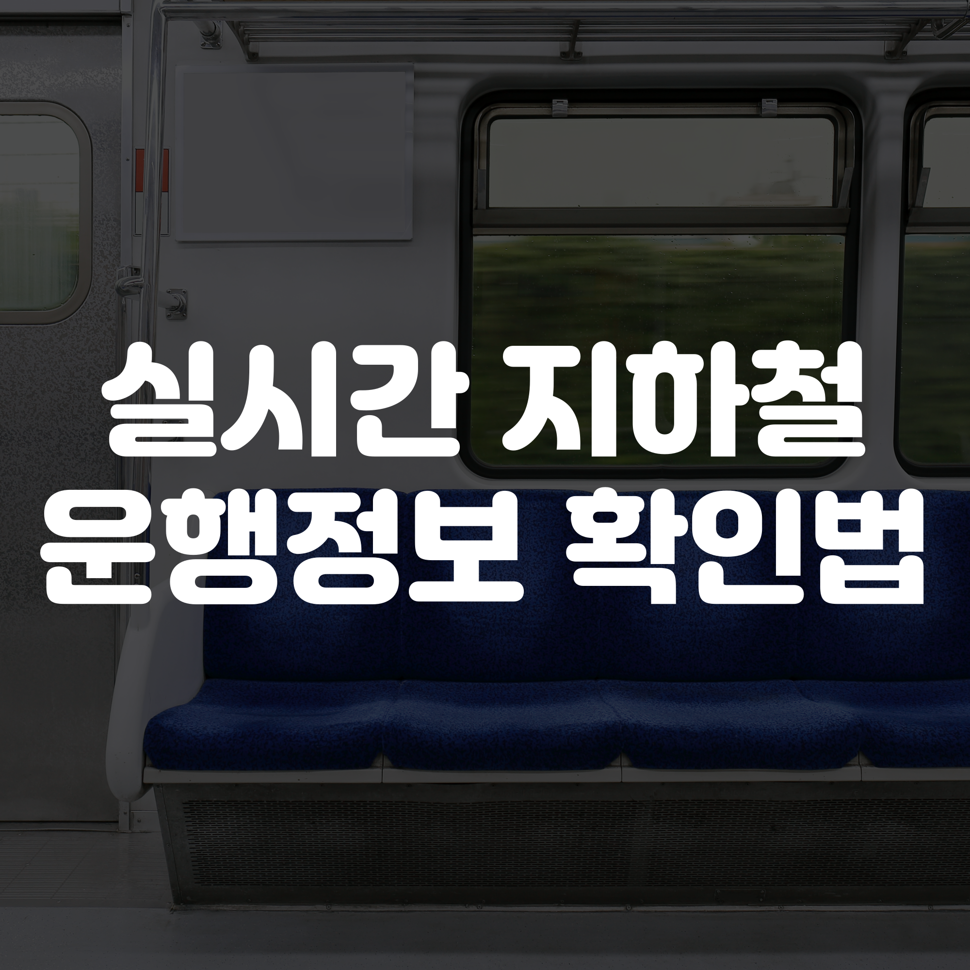 실시간 지하철 운행정보(카카오맵 초정밀 지하철)