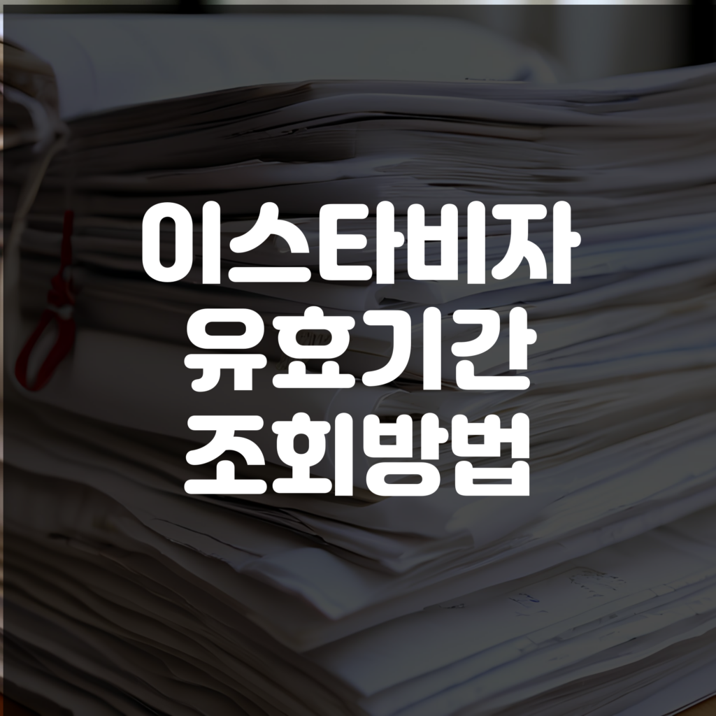 이스타비자 유효기간 확인 방법 및 만료 갱신 안내