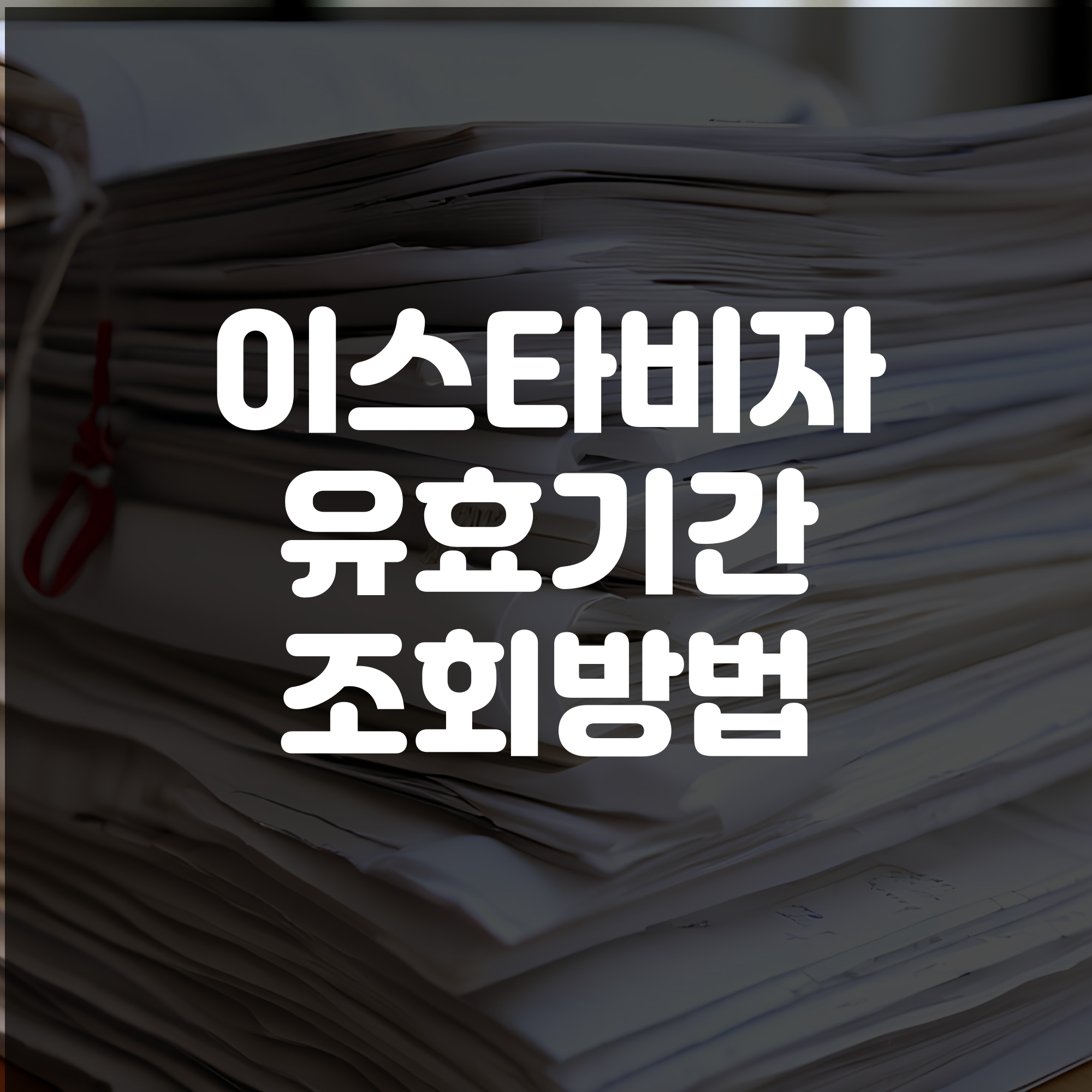 이스타비자 유효기간 확인 방법 및 만료 갱신 안내