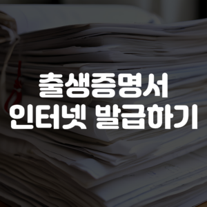 출생증명서 인터넷발급 방법 가이드