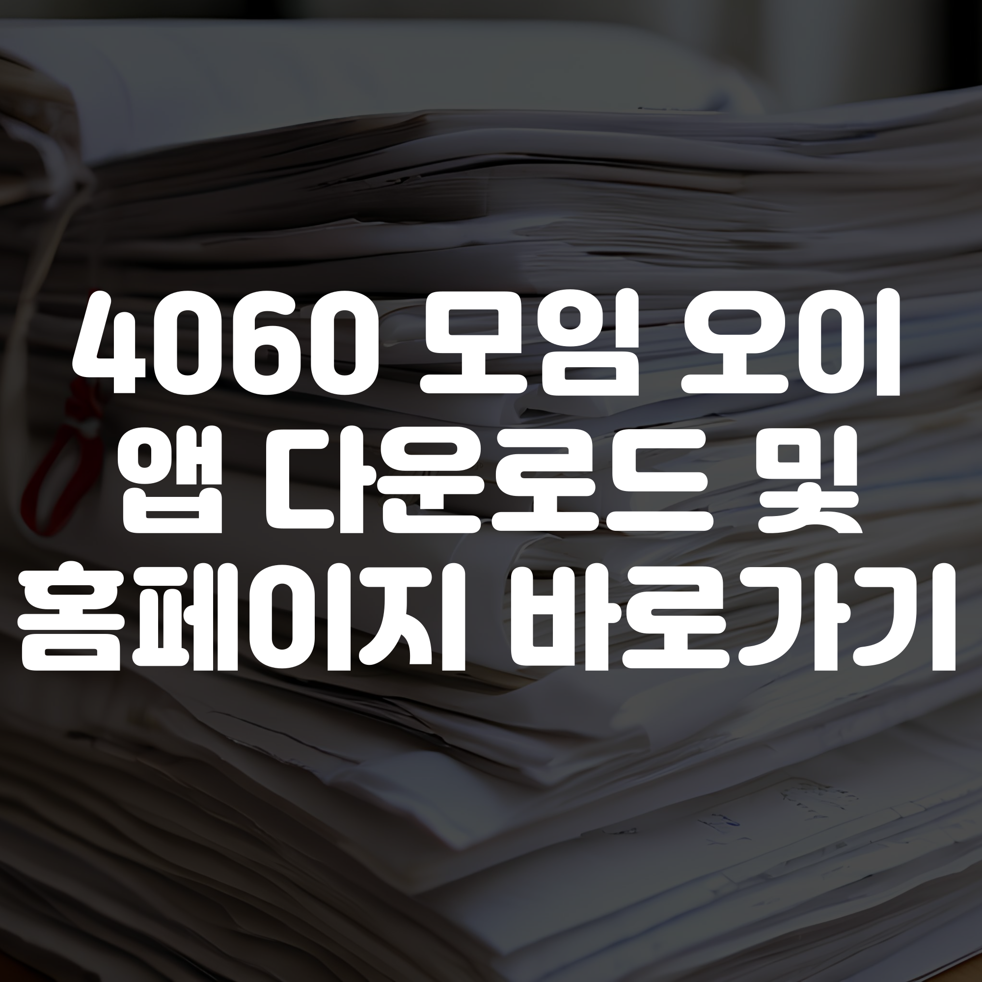 4060 모임 오이 앱 다운로드 및홈페이지 바로가기