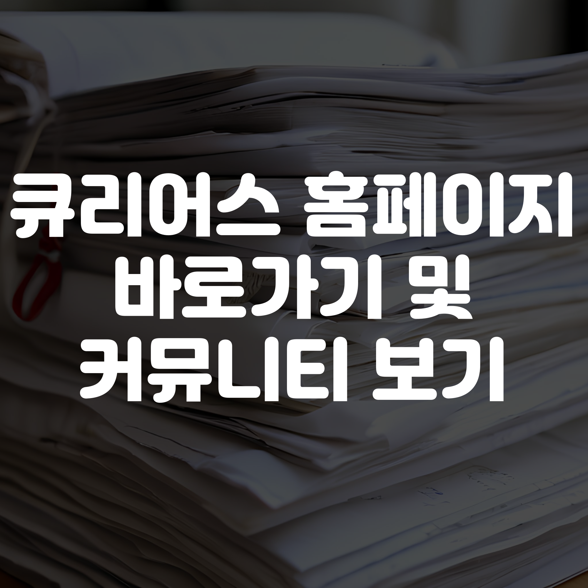 큐리어스 홈페이지 바로가기 커뮤니티 활용하기