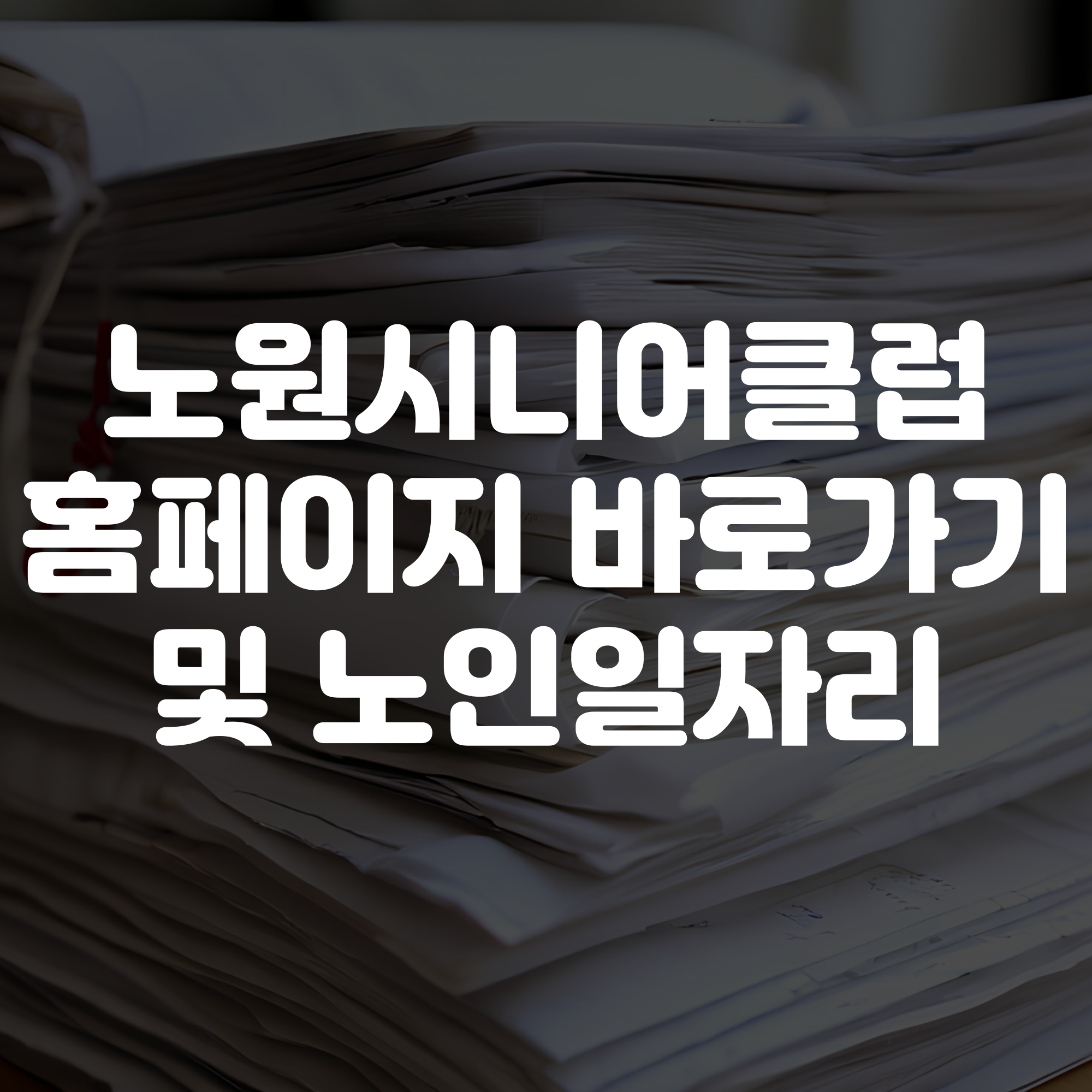노원시니어클럽 홈페이지 바로가기 노인일자리 확인하기