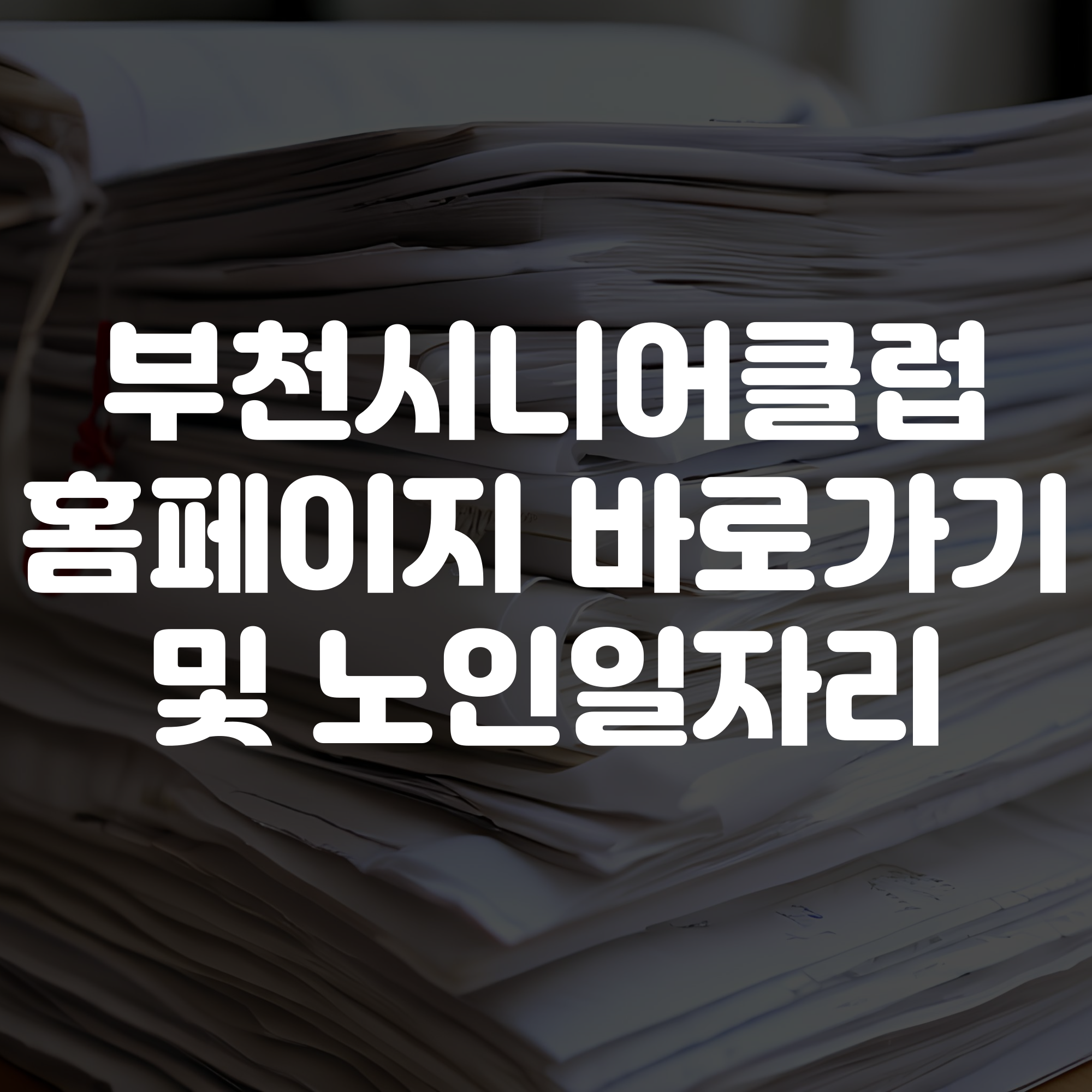 부천시니어클럽 홈페이지 바로가기 노인일자리 확인하기