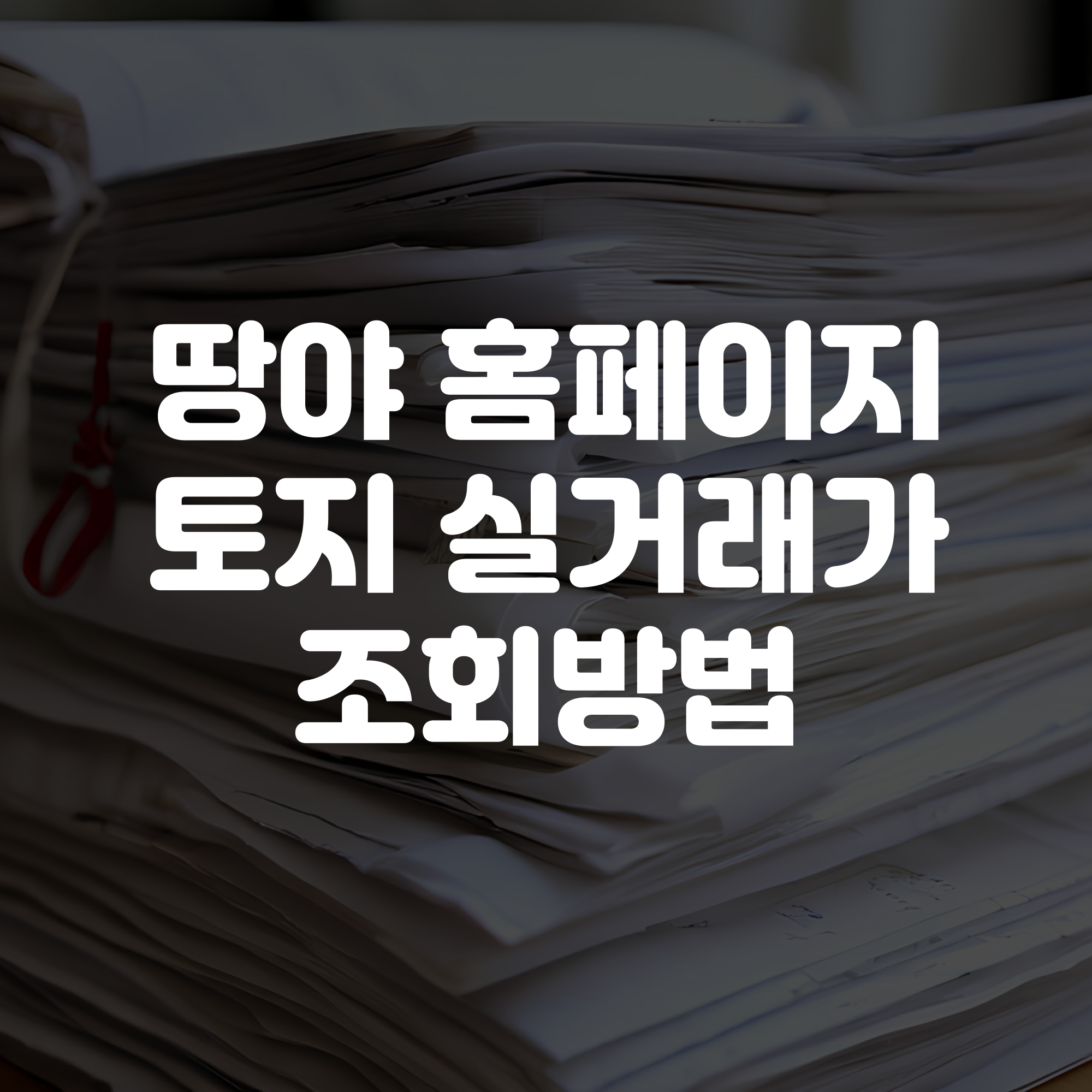 땅야 홈페이지 바로가기 토지 실거래가 조회방법
