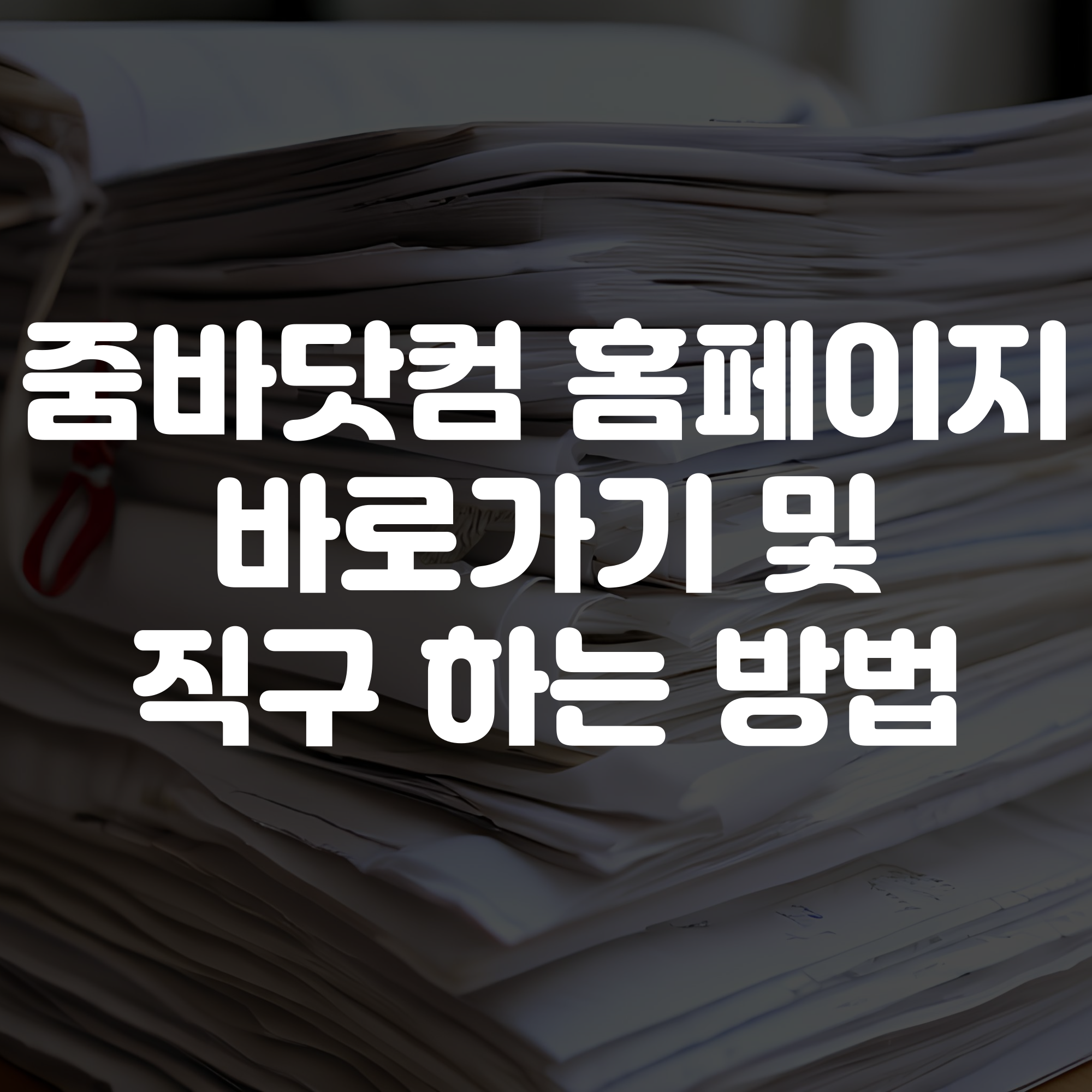 줌바닷컴 홈페이지 바로가기 및 직구 가이드