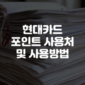 현대카드 포인트 사용처 사용방법