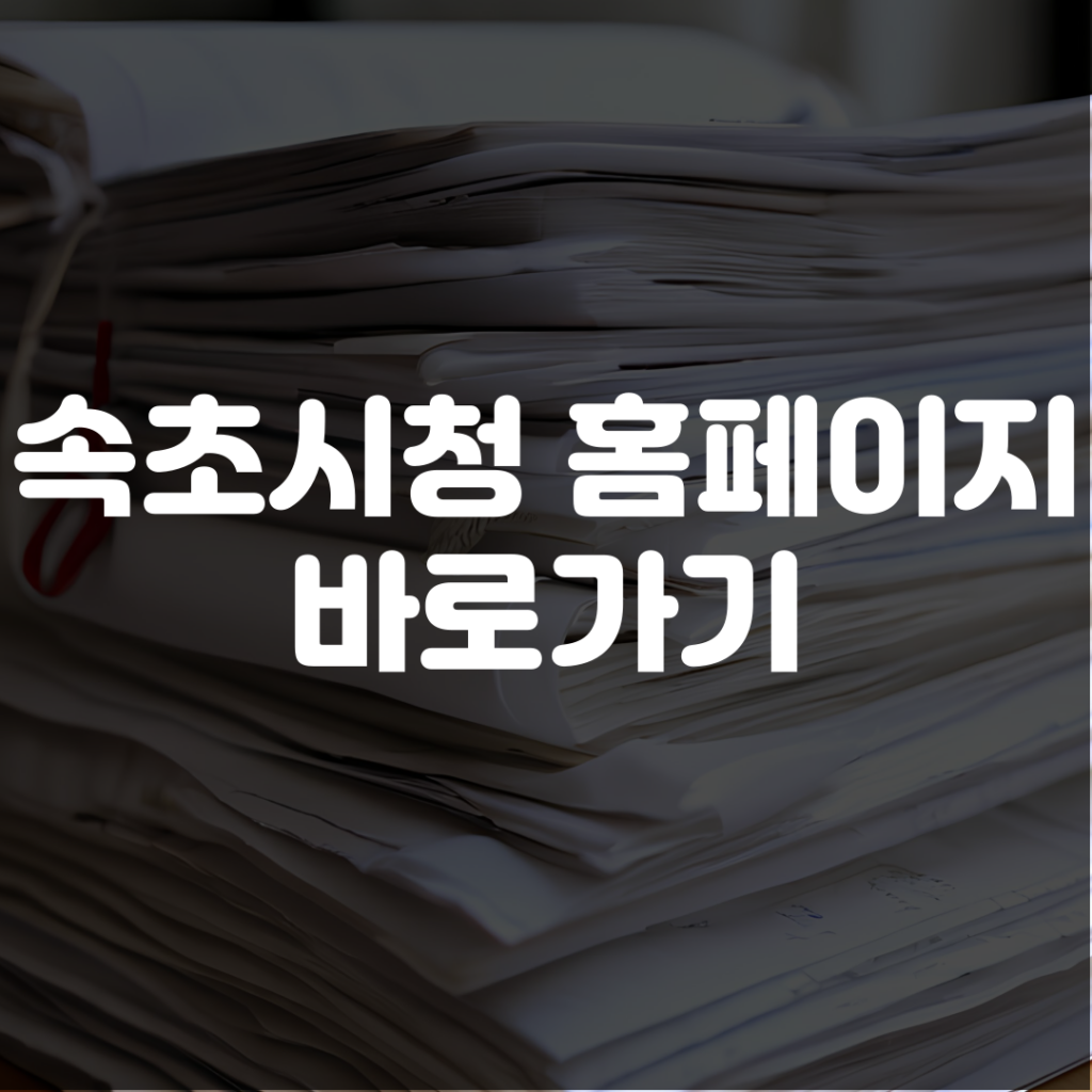 속초시청 홈페이지 바로가기