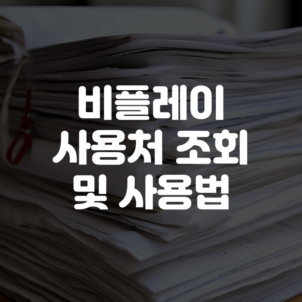 비플페이 사용처 조회 및 사용법 1 비플페이 사용처 조회 및 사용법