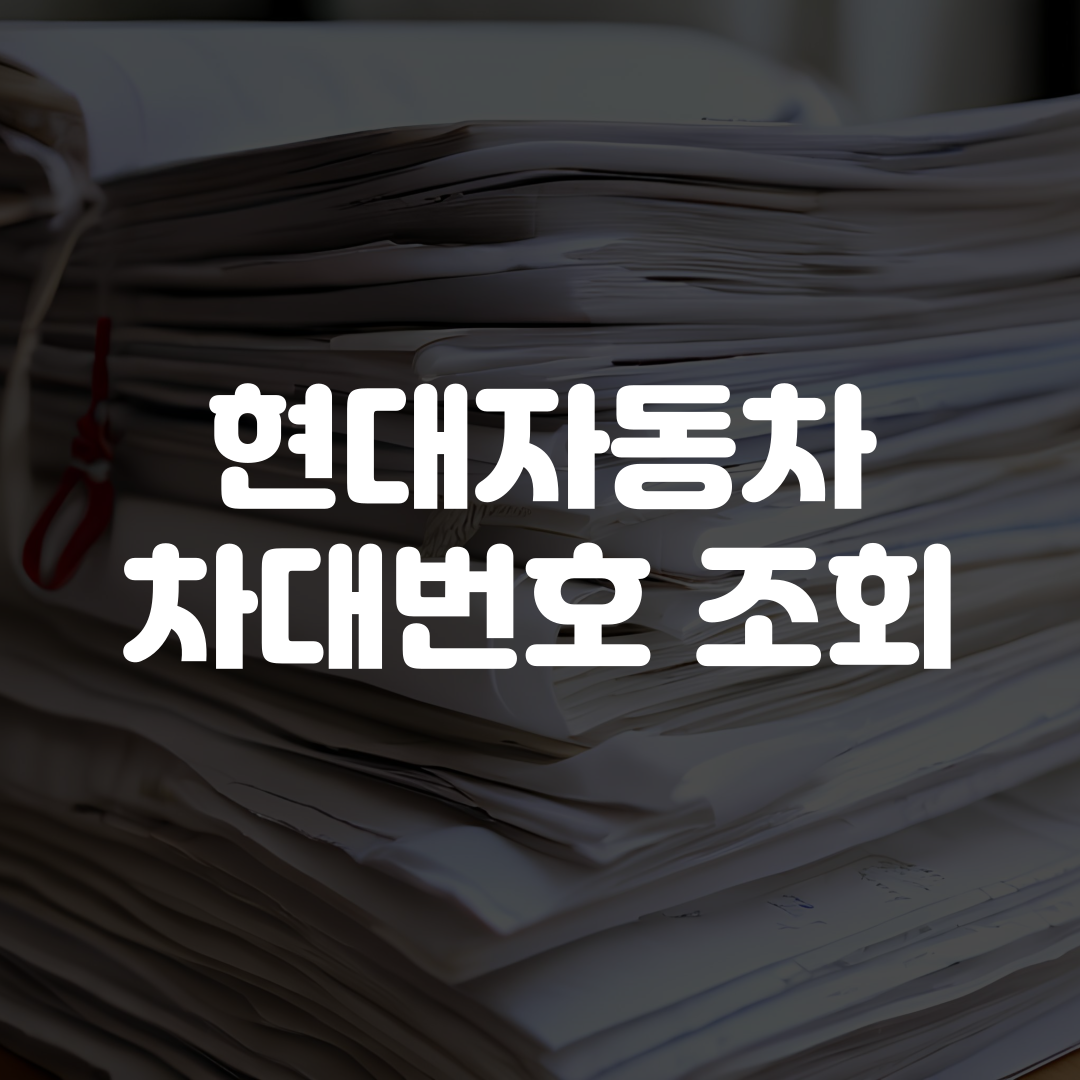 현대자동차 차대번호 조회 방법