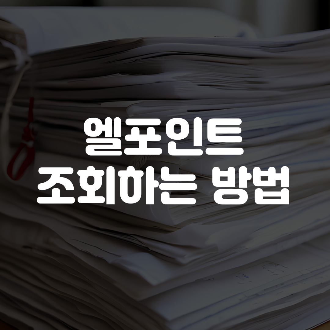 엘포인트 조회 방법