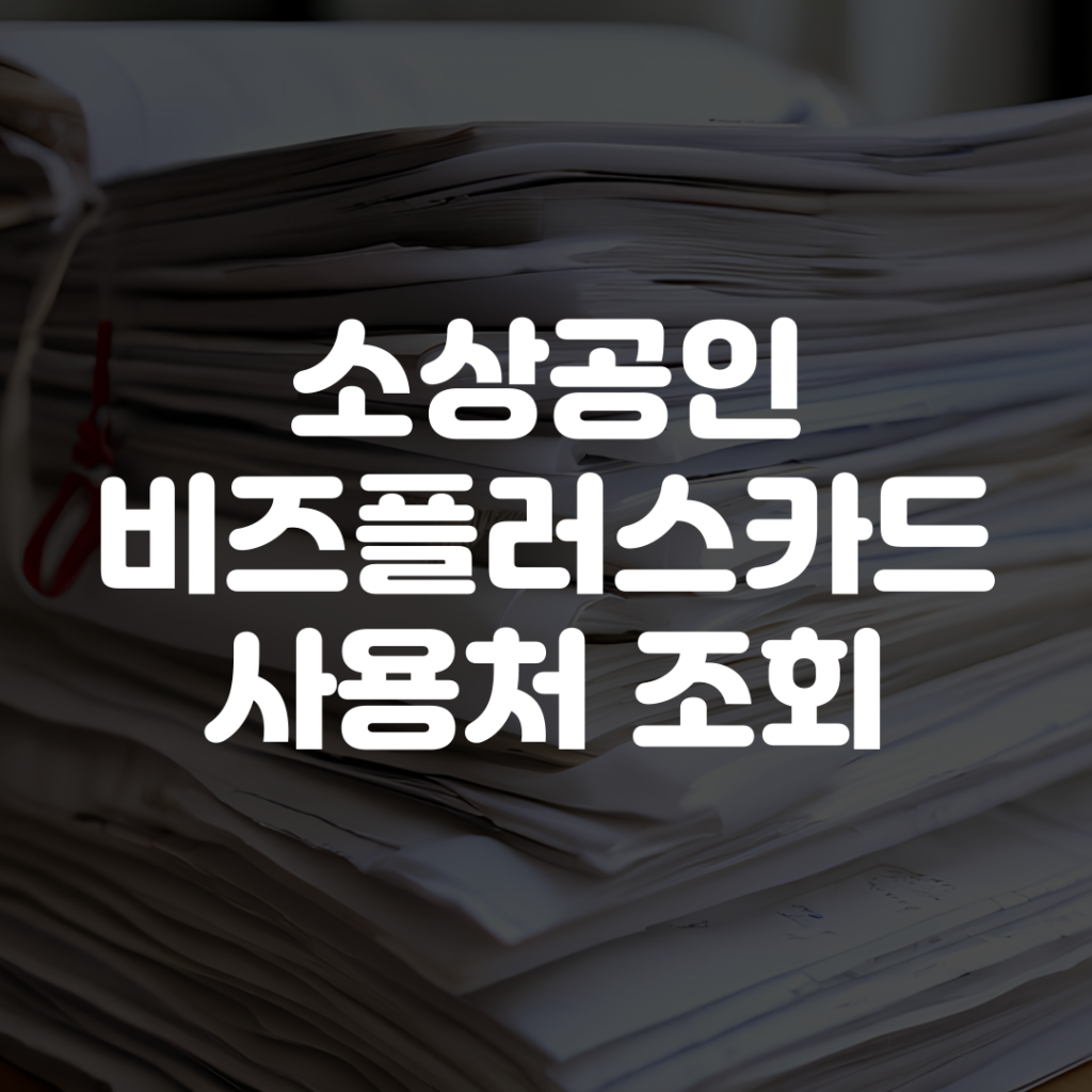 소상공인 비즈플러스카드 사용처 조회