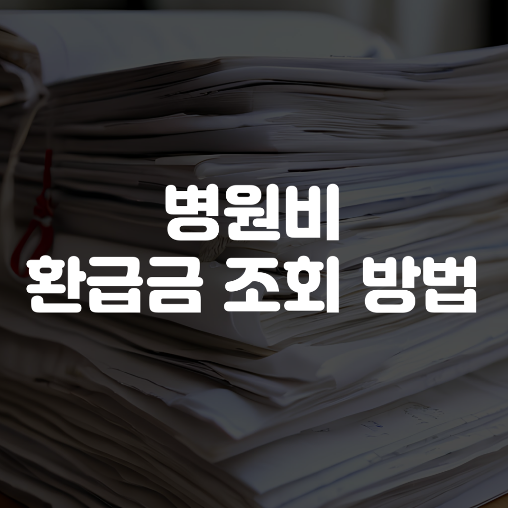 병원비 환급금 조회 방법