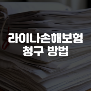 라이나손해보험 청구 방법