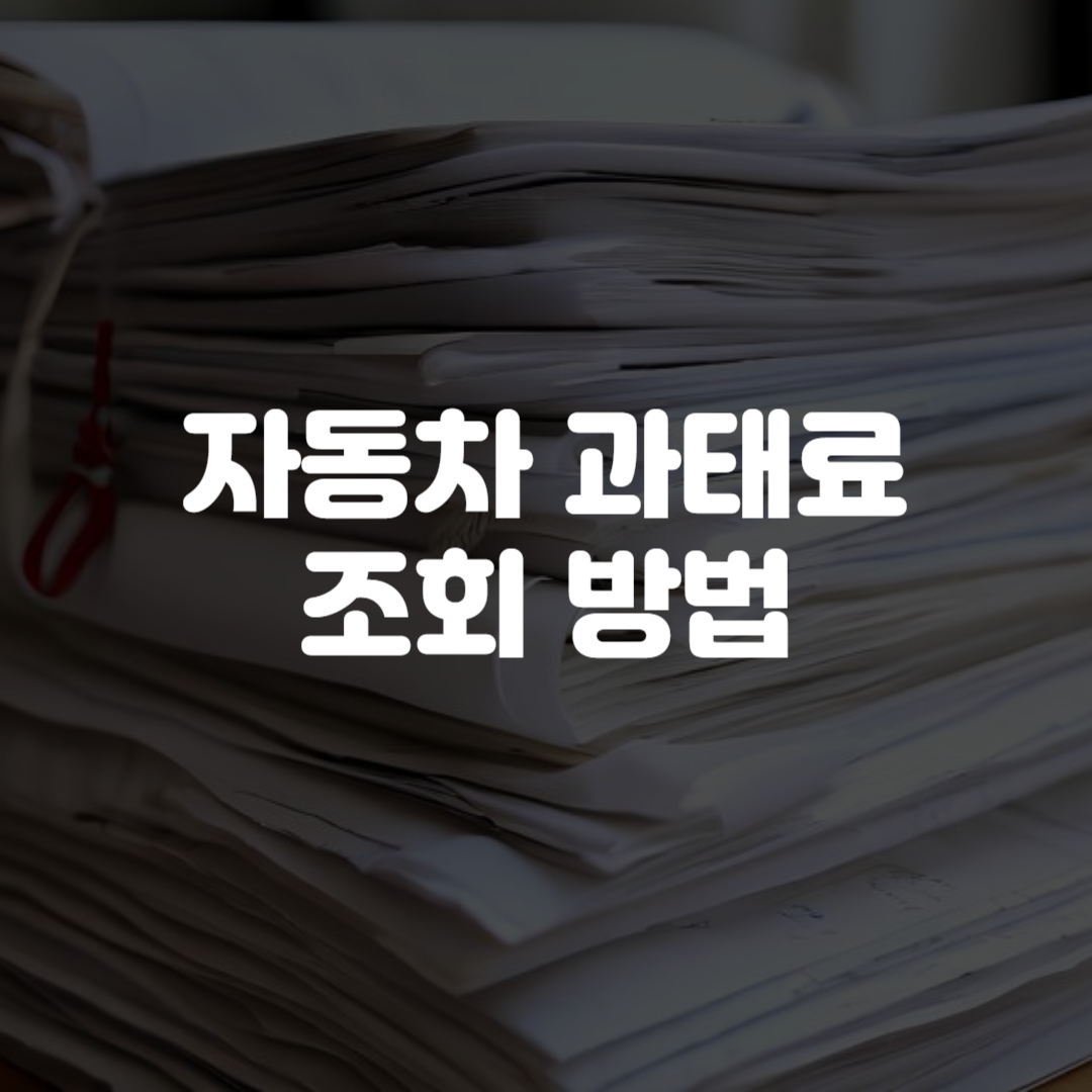 자동차 과태료 조회 방법