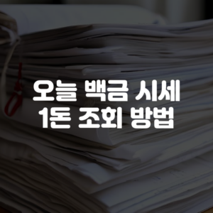 오늘 백금 시세 1돈 조회 방법