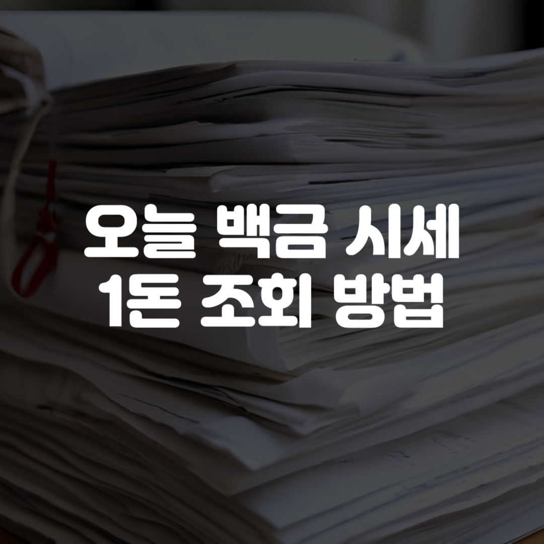 오늘 백금 시세 1돈 조회 방법