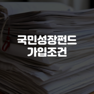 국민성장펀드 가입조건