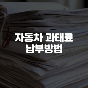 자동차 과태료 납부방법