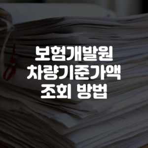보험개발원 차량기준가액 조회 방법