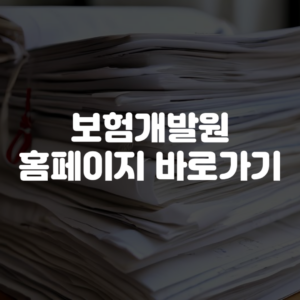 보험개발원 홈페이지 바로가기