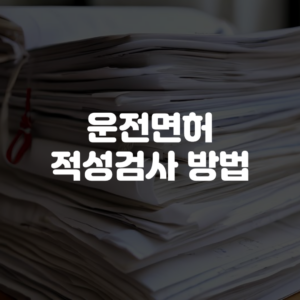 운전면허 적성검사 방법