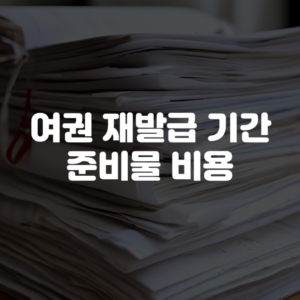 여권 재발급 기간 준비물 비용