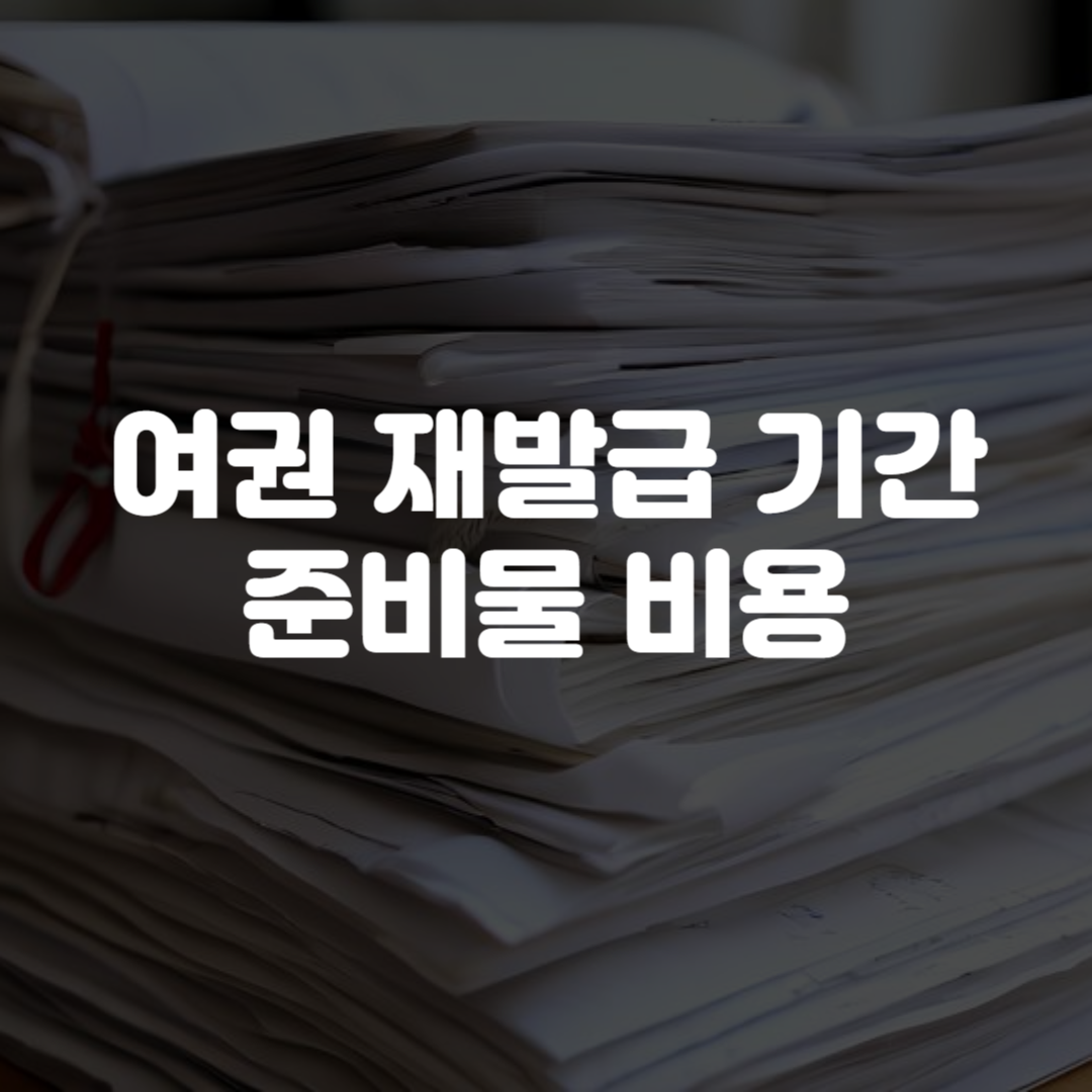 여권 재발급 기간 준비물 비용