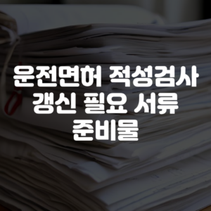 운전면허 적성검사 갱신 필요 서류 준비물